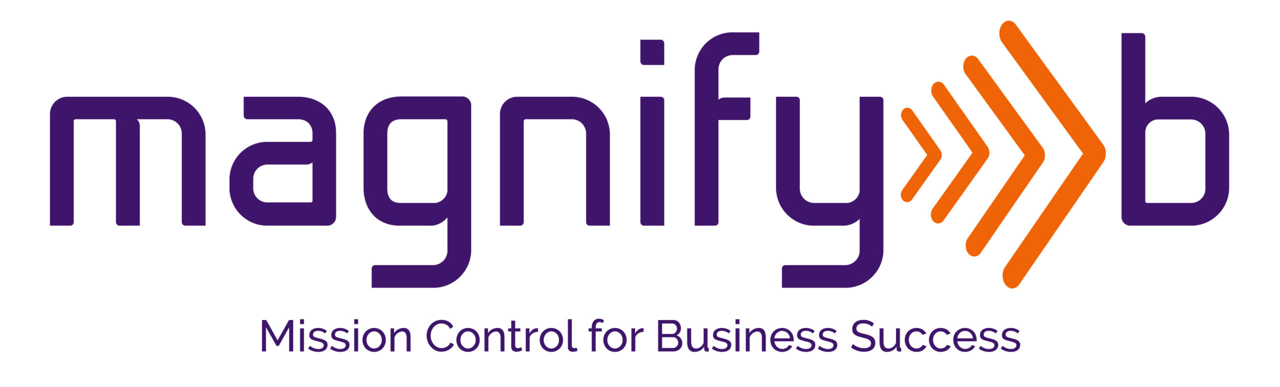 MagnifyB logo